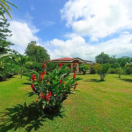 Villa Ceiba La Fortuna Exteriör bild