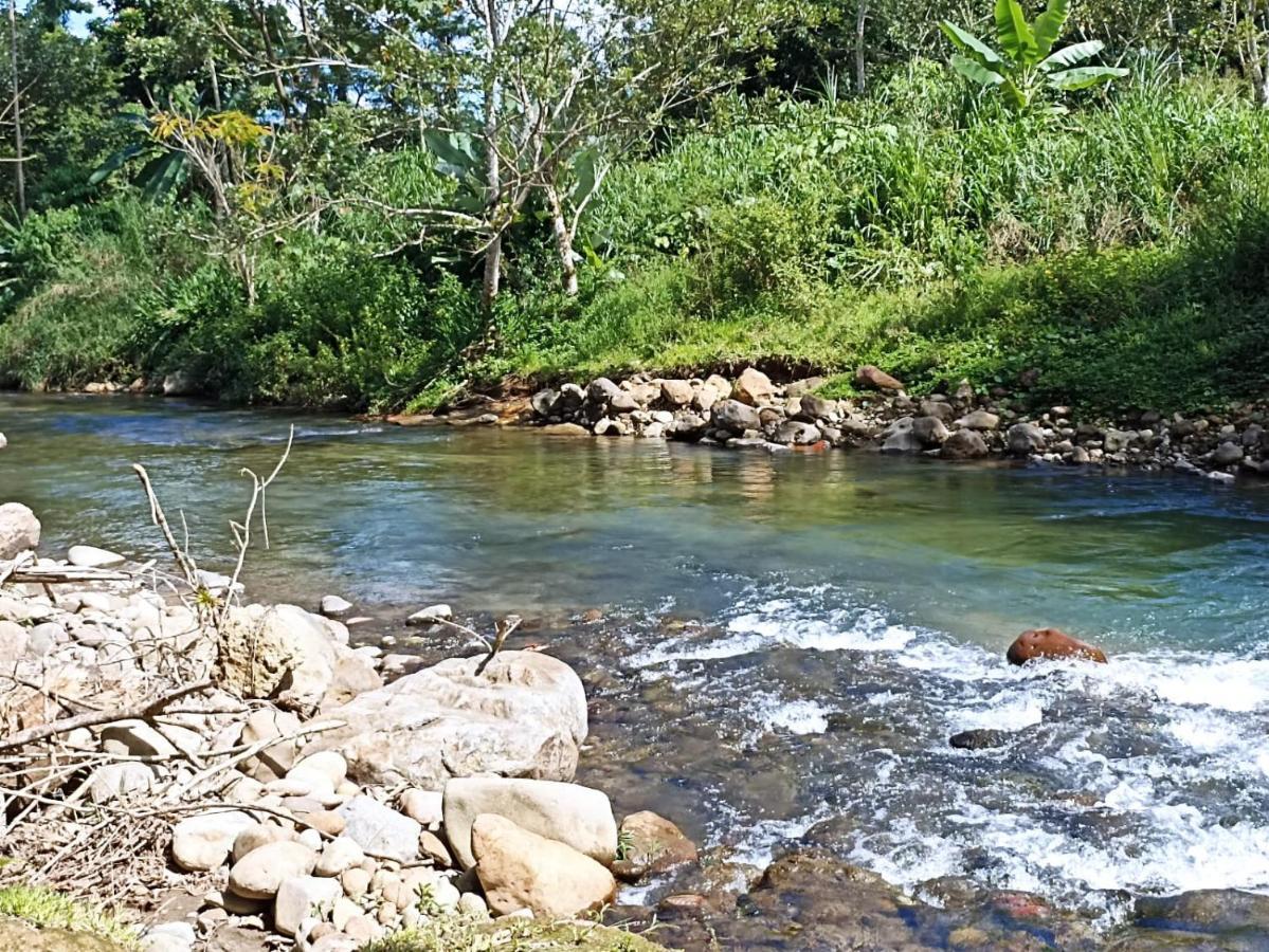 Villa Ceiba La Fortuna Exteriör bild