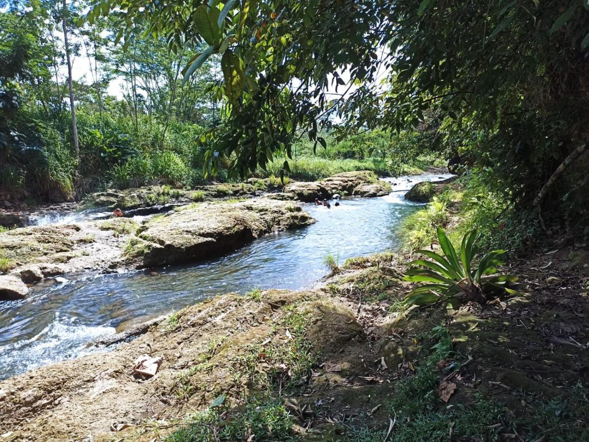 Villa Ceiba La Fortuna Exteriör bild