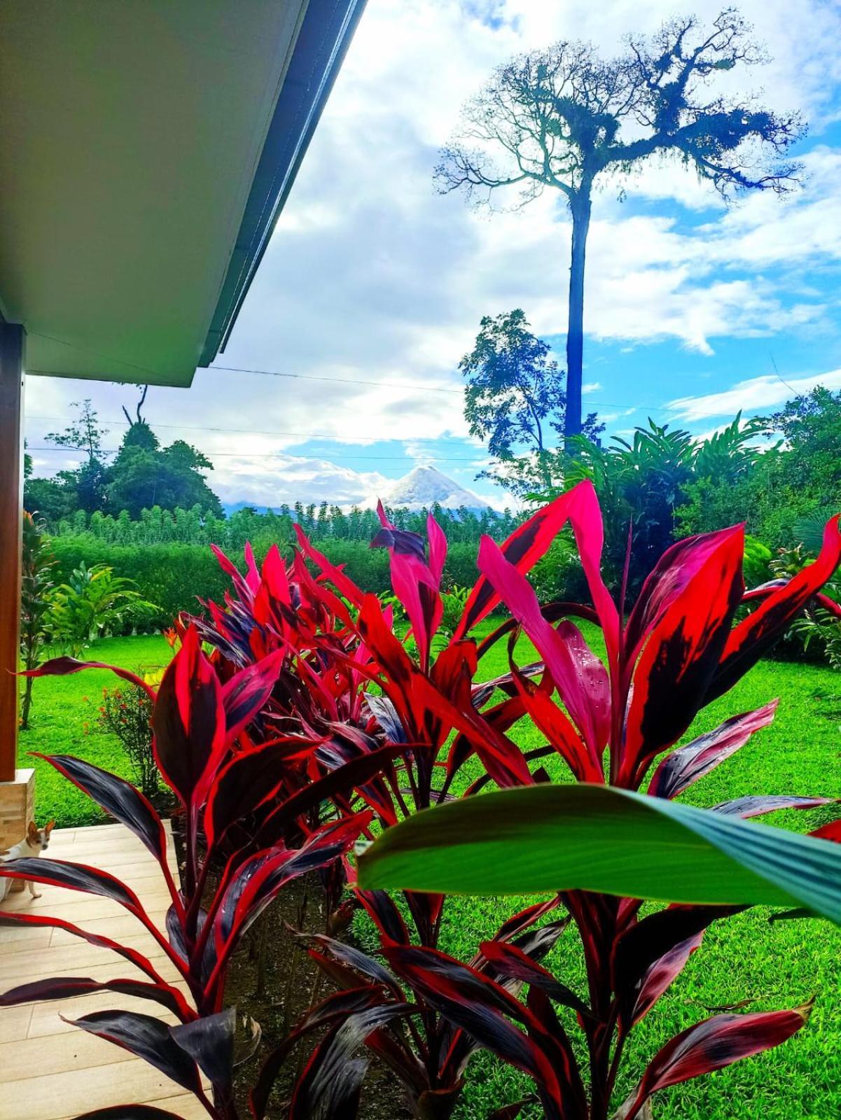 Villa Ceiba La Fortuna Exteriör bild