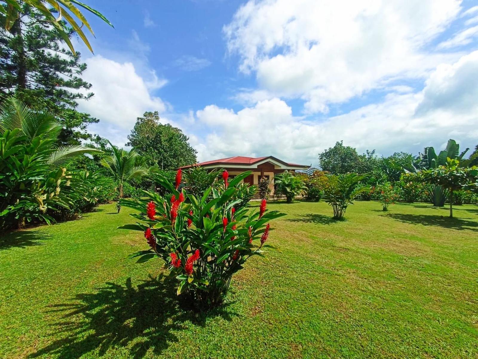 Villa Ceiba La Fortuna Exteriör bild