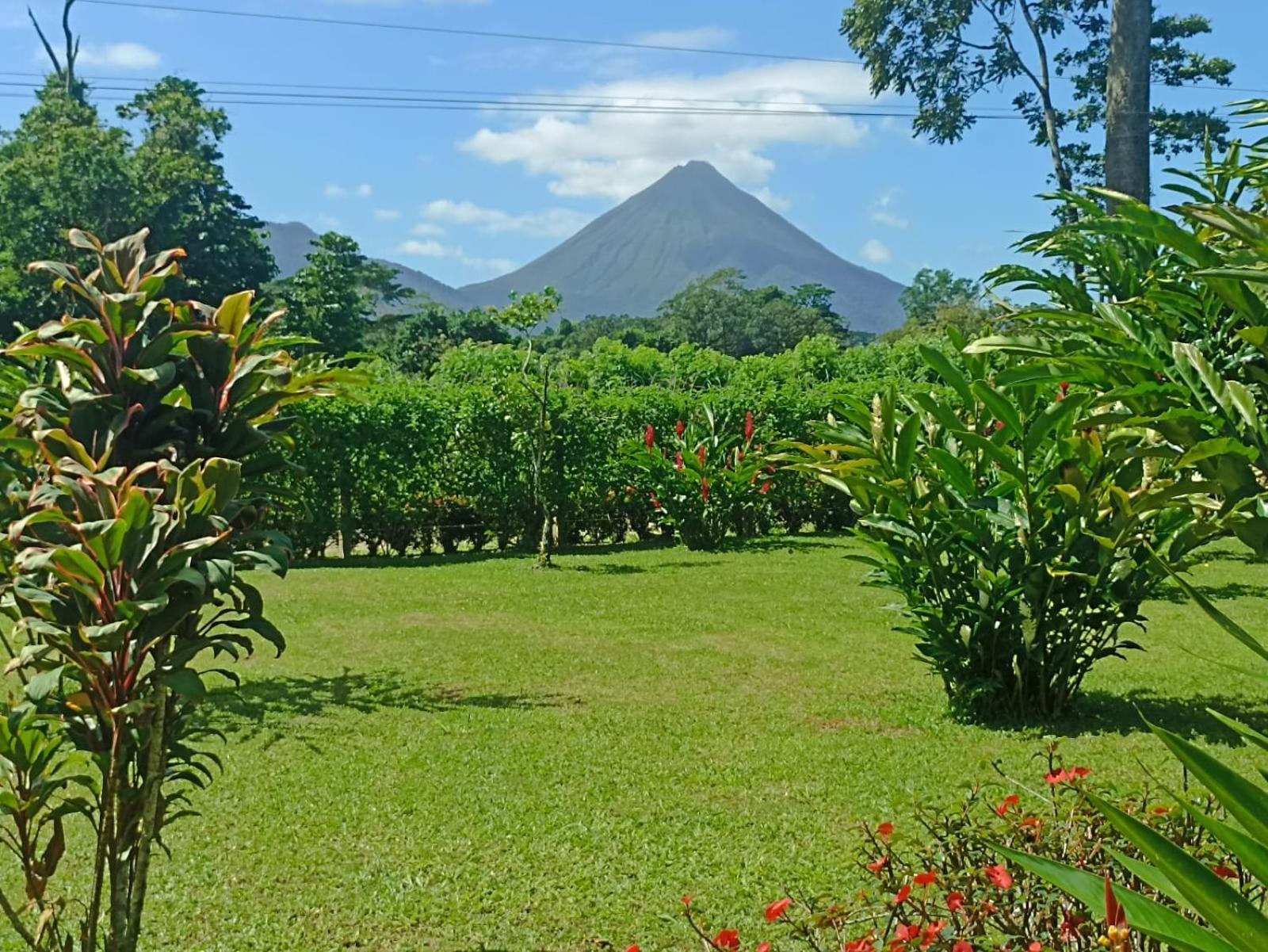 Villa Ceiba La Fortuna Exteriör bild